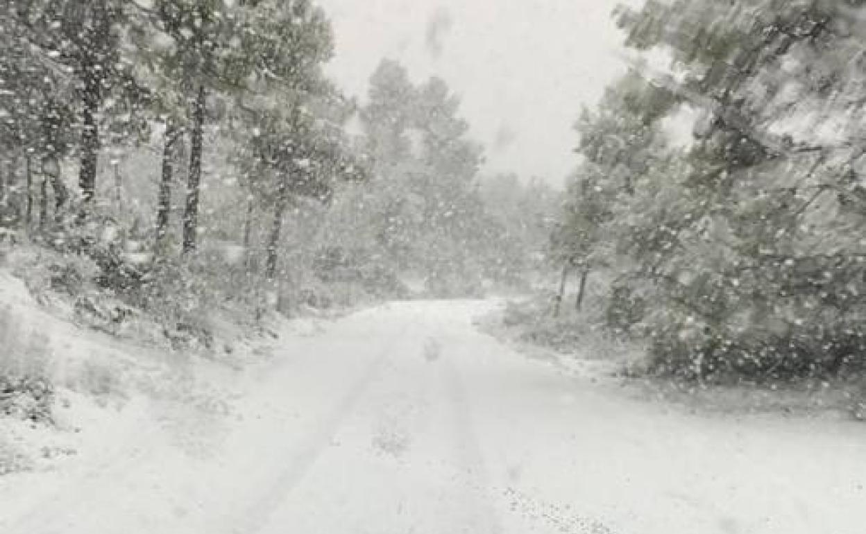 Directo Nieve en Valencia, desalojos por